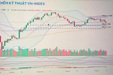 VN-Index chịu áp lực điều chỉnh mạnh và xu hướng đầu tư
