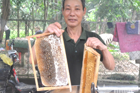 Cựu chiến binh làm kinh tế nhạy bén