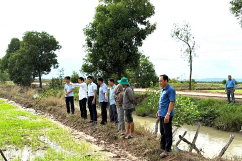 Phòng, chống mua bán người: Xây “lá chắn” từ từng thôn, làng giáp biên