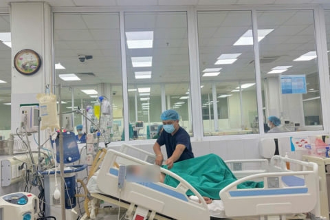 Bé gái 14 tuổi sốc, suy đa tạng vì một vết mò đốt dưới ngực