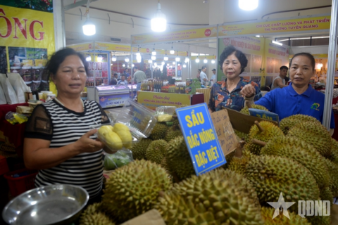 Gỡ khó cho xuất khẩu sầu riêng