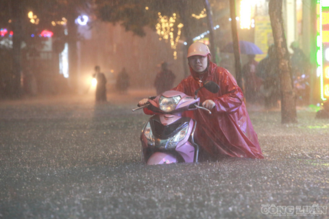 Mưa lũ gây ngập hàng trăm nhà, nhiều tuyến đường miền Trung tê liệt