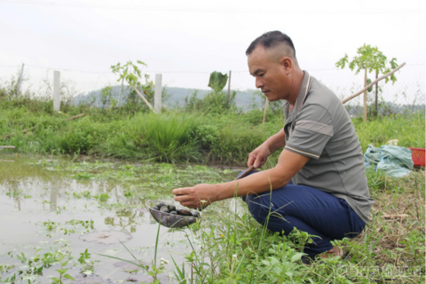 Làng nuôi con 'siêu đẻ' thu hàng chục tỷ đồng mỗi năm