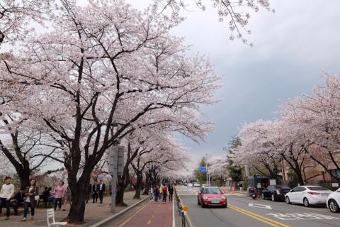 Seoul nhắm mục tiêu tốp 3 thành phố hàng đầu thế giới
