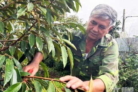 Cựu chiến binh là nhà nông tỷ phú
