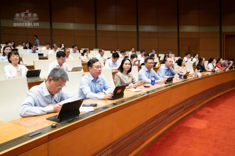 Rà soát để không chồng lấn giữa vi phạm hành chính và tội phạm hình sự