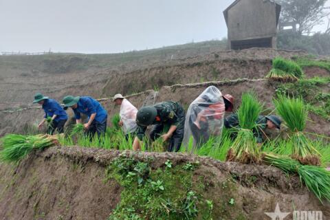 Góp phần tạo sinh kế cho đồng bào nơi biên cương Tây Bắc