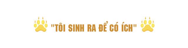 Ngông cuồng như tỷ phú tuổi Dần Richard Branson: Trộm tiền của mẹ để khởi nghiệp, làm toàn chuyện khùng điên nhưng vượt mặt cả ông chủ Amazon trong cuộc chơi hàng không vũ trụ - Ảnh 1.