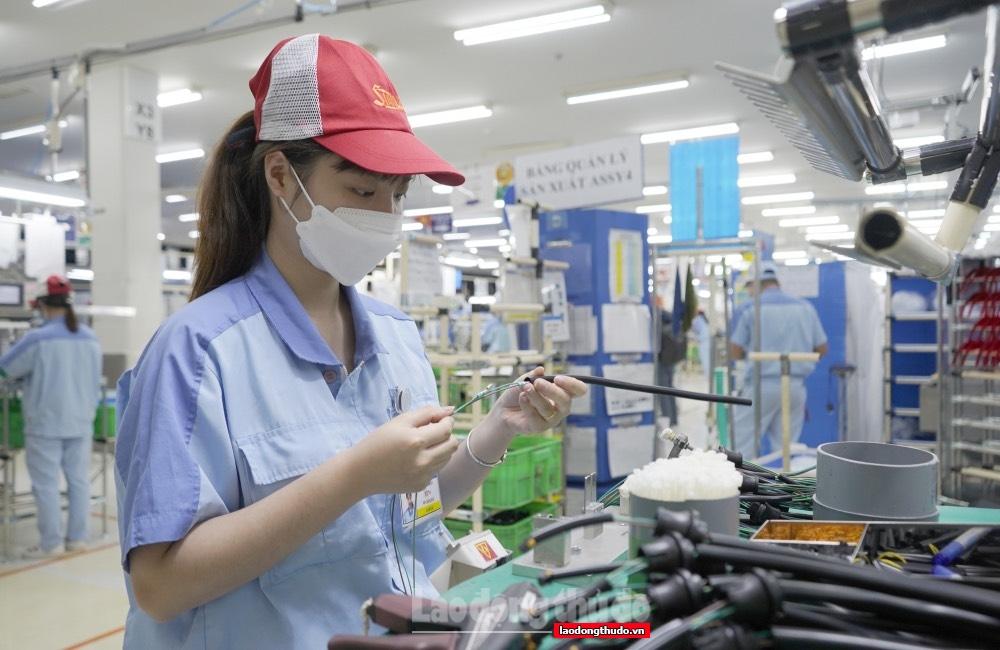 Tiếp tục làm tốt công tác chăm lo cho đoàn viên, người lao động
