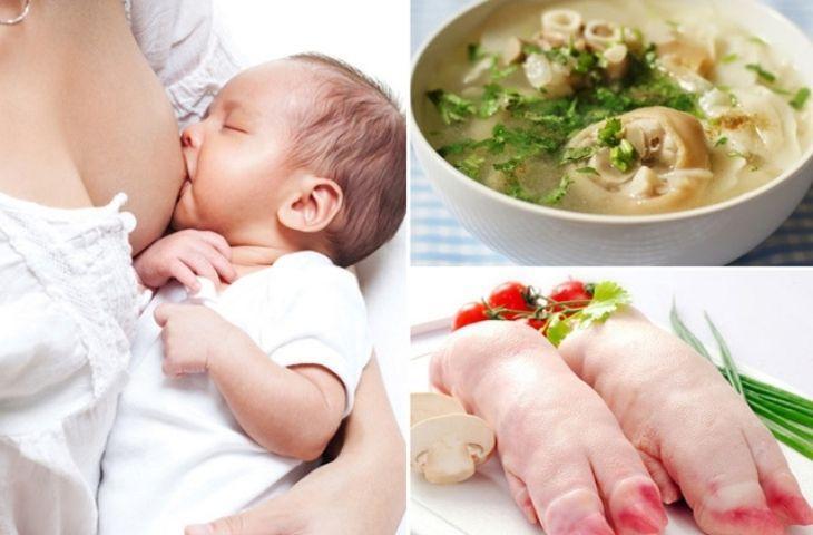 Mẹ bầu có nên ăn móng giò để sau này có nhiều sữa cho con? - Ảnh 1. Mẹ bầu có nên ăn móng giò để sau này có nhiều sữa cho con? - Ảnh 1.