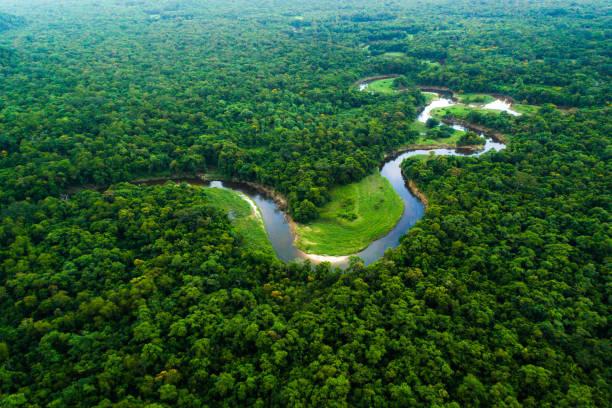 Dài thứ 2 thế giới, nhưng con sông này không hề có một cây cầu bắc qua! Nhà khoa học tiết lộ lý do không ai ngờ đến - Ảnh 1.