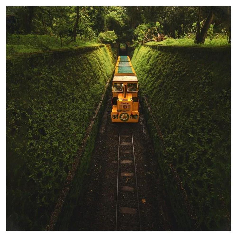 Trải nghiệm mới Ấn Độ, tận mắt khám phá vạn điều mê hoặc ở nơi “đất Phật” - Ảnh 3.