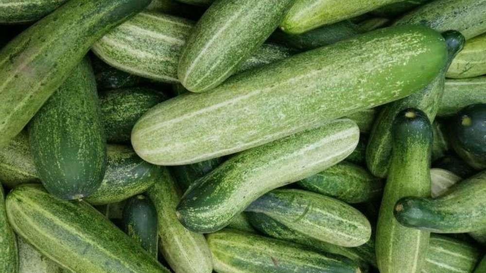 Nắng nóng thế này ăn gì cho mát? Hãy chọn 10 loại thực phẩm giúp giải nhiệt trong mùa hè - Ảnh 3. Nắng nóng thế này ăn gì cho mát? Hãy chọn 10 loại thực phẩm giúp giải nhiệt trong mùa hè - Ảnh 3.