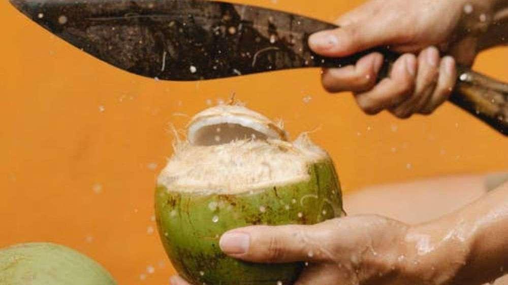 Nắng nóng thế này ăn gì cho mát? Hãy chọn 10 loại thực phẩm giúp giải nhiệt trong mùa hè - Ảnh 5. Nắng nóng thế này ăn gì cho mát? Hãy chọn 10 loại thực phẩm giúp giải nhiệt trong mùa hè - Ảnh 5.