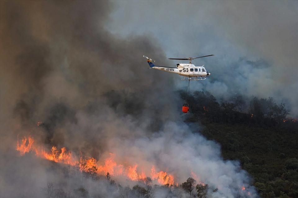 Trực thăng tham gia ngăn chặn cháy rừng trong đợt nắng nóng thứ hai trong năm ở Guadapero, Tây Ban Nha. Ảnh: Reuters