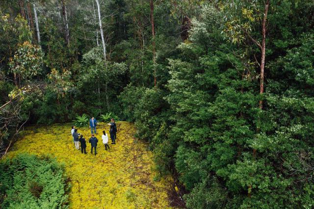 Đại học Tasmania - bến đỗ du học cho những tín đồ yêu thiên nhiên và hoạt động ngoại khóa - Ảnh 4.