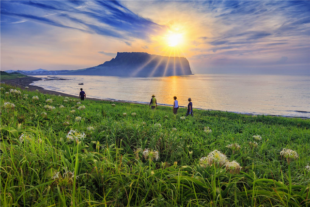 Jeju nổi tiếng thì ai cũng biết rồi, tuy nhiên có 10 sự thật về nơi này chắc chắn sẽ khiến bạn bất ngờ - Ảnh 12.