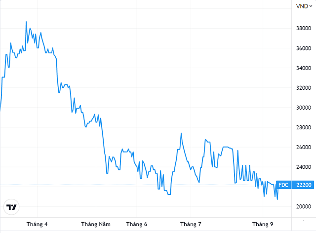 Fideco: Cơ cấu cổ đông biến động mạnh, chào bán riêng lẻ bằng một nửa thị giá - Ảnh 1. Fideco: Cơ cấu cổ đông biến động mạnh, chào bán riêng lẻ bằng một nửa thị giá - Ảnh 1.