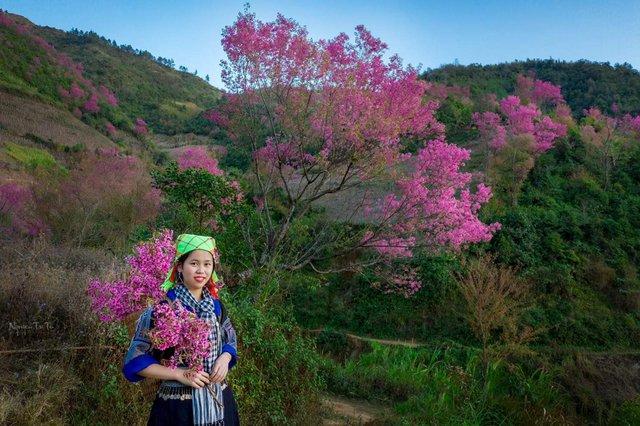 Nữ sinh HMông xuất sắc giành học bổng của trường đại học nổi tiếng - Ảnh 1. Nữ sinh HMông xuất sắc giành học bổng của trường đại học nổi tiếng - Ảnh 1.