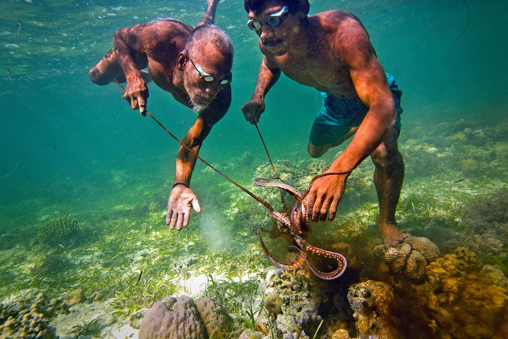Tưởng Namor chỉ có trong phim nhưng thực ra ngoài đời cũng có tộc "người cá" này - Ảnh 5.