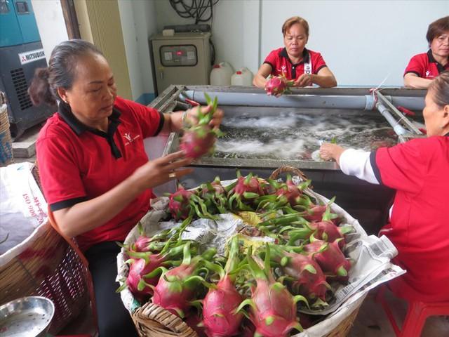 Xuất khẩu nông sản sang Trung Quốc: Chuẩn bị cho cuộc chơi mới - Ảnh 1.