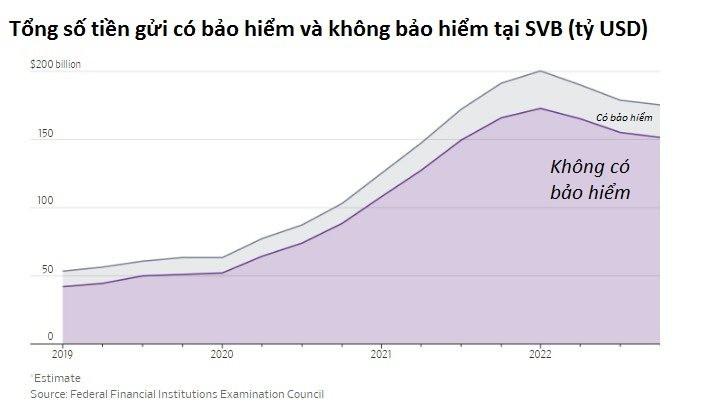 Vụ SVB: Bi hài những founder startup phải vội tấp xe vào lề đường để rút tiền khỏi ngân hàng - Ảnh 4.