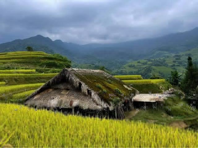 Cứ ngỡ trong truyện cổ tích nhưng những mái nhà phủ rêu ngoài đời thật lại ở ngay vùng đất gây thương nhớ của Việt Nam - Ảnh 3.