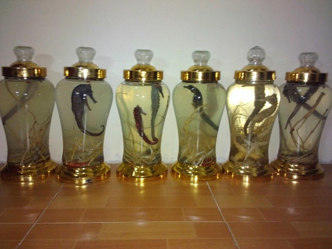 Một loài cá có mặt trên khắp Việt Nam được Trung Quốc coi là 'thần dược', đặc biệt hiệu nghiệm chuyện phòng the - Ảnh 2.