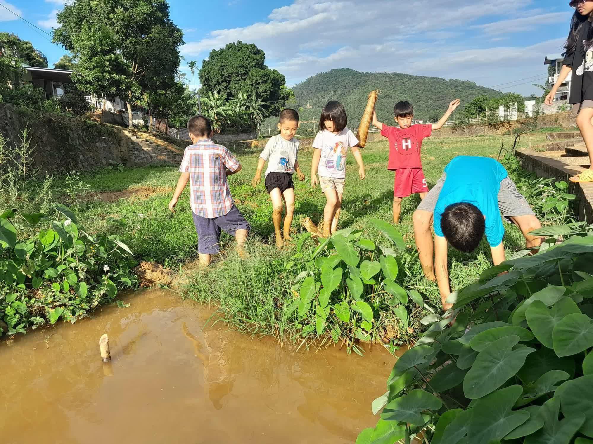 Nửa năm rời phố về làng sống như một giấc mơ của gia đình nhỏ, nơi những đứa trẻ mê tít chẳng muốn về - Ảnh 4.