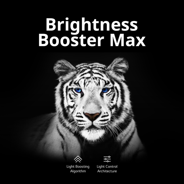 LG ra mắt loạt TV mới, đánh dấu 10 năm gia nhập thị trường TV OLED toàn cầu - Ảnh 1. LG ra mắt loạt TV mới, đánh dấu 10 năm gia nhập thị trường TV OLED toàn cầu - Ảnh 1.