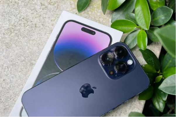 Lựa chọn iPhone đời cũ: iPhone 12 Pro Max hay 13 Pro Max - Ảnh 4.