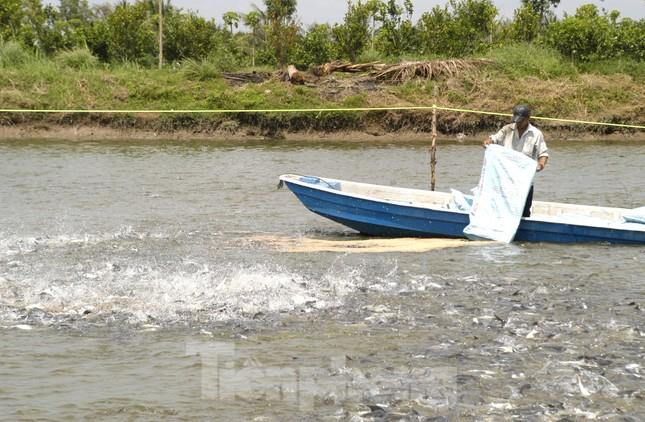 Ngành thủy sản khó khăn trầm trọng hơn cả đỉnh dịch COVID-19 - Ảnh 1.