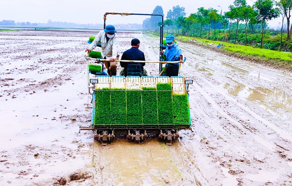 Cú hích cho “tam nông” của Thủ đô