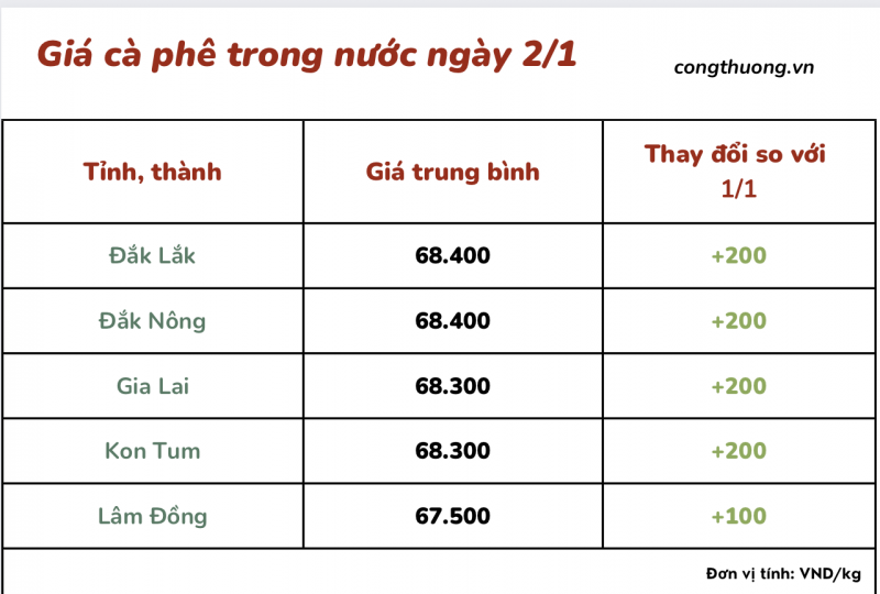 Giá cà phê 2/1, giá cà phê trong nước ngày 2/1/2024