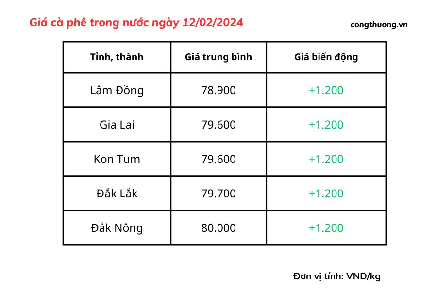 Giá cà phê hôm nay, 12/2/2024: Giá cà phê trong nước 'đạt đỉnh'