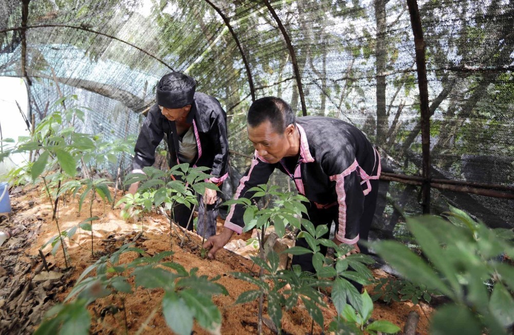 Lai Châu: Tập trung các giải pháp đảm bảo đạt mục tiêu tăng trưởng năm 2024