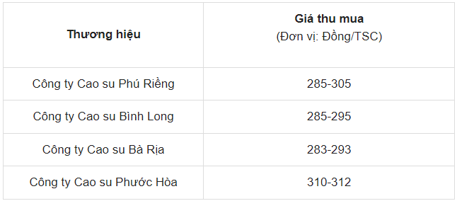 Giá cao su ngày 23/5/2024: Cao su thế giới nối đà tăng mạnh