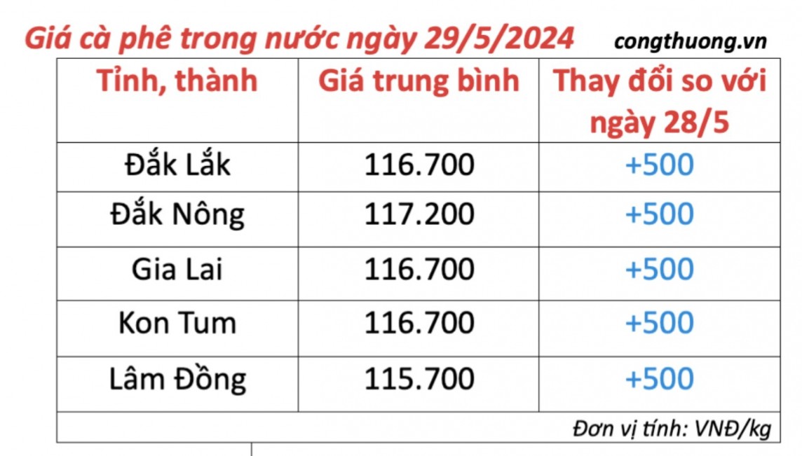 Giá cà phê hôm nay, 29/5/2024: Giá cà phê trong nước tiếp tục tăng