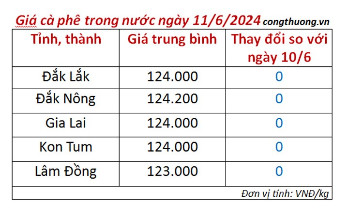 Giá cà phê hôm nay ngày 11/6/2024: