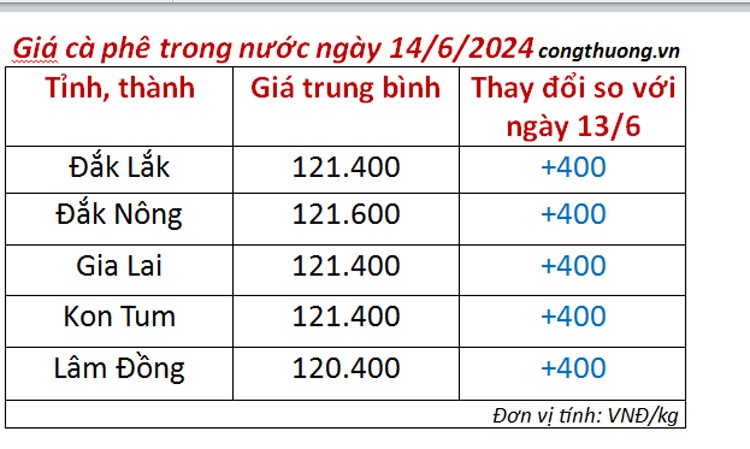 Giá cà phê hôm nay ngày 14/6/2024: Giá cà phê trong nước