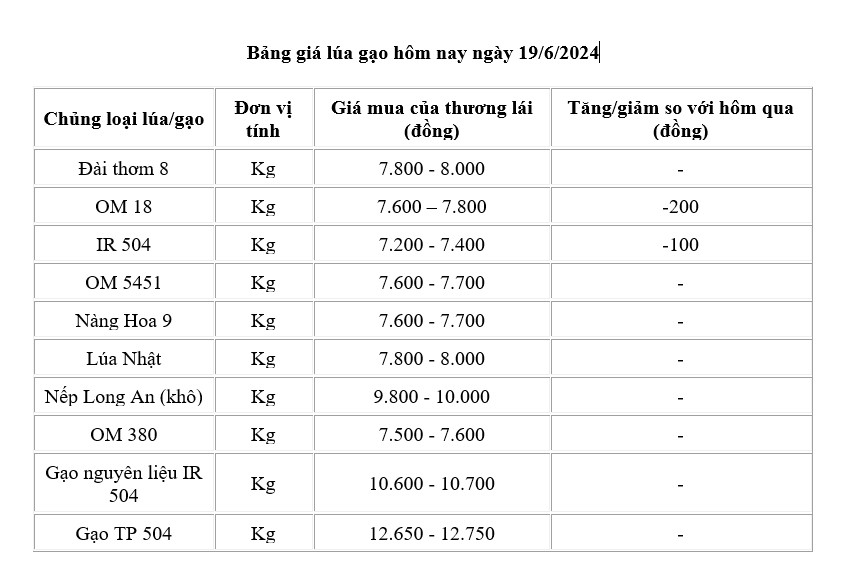 Giá lúa gạo hôm nay 19/6/2024: Giá lúa giảm 100 -200 đông/kg, giá gạo đi ngang