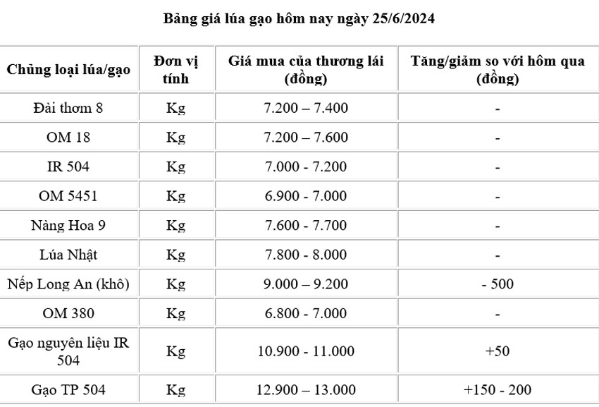 Giá lúa gạo hôm nay ngày 25/6/2024: Giá gạo tăng 150 -200 đồng/kg, gạo xuất khẩu giảm