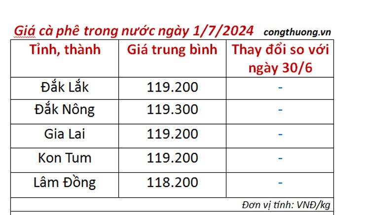 Giá cà phê hôm nay 1/7/2024: Giá cà phê