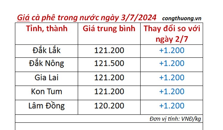 Giá cà phê hôm nay 3/7/2024: