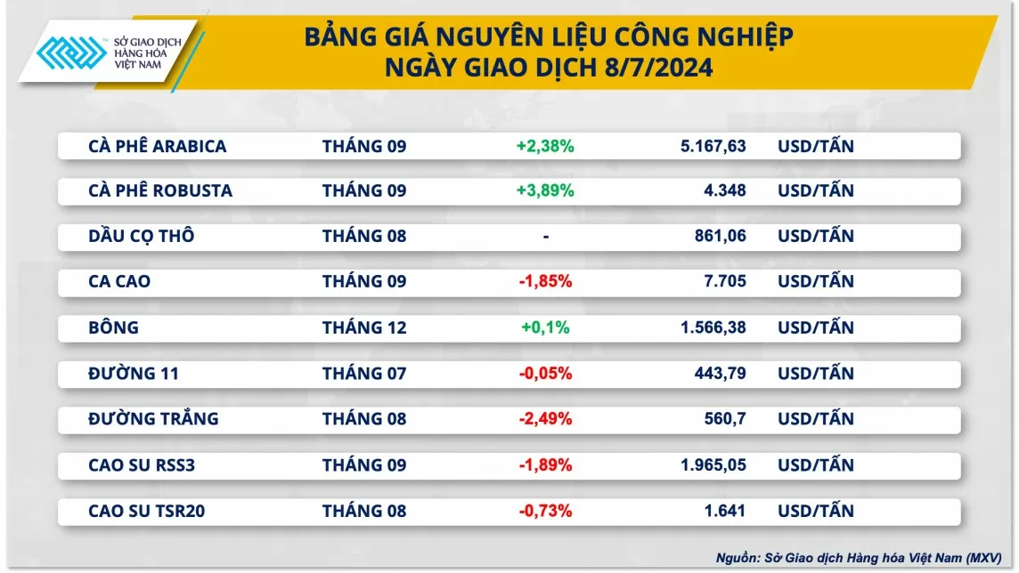 Xuất khẩu cà phê sẽ chỉ tăng trở lại từ tháng 10/2024