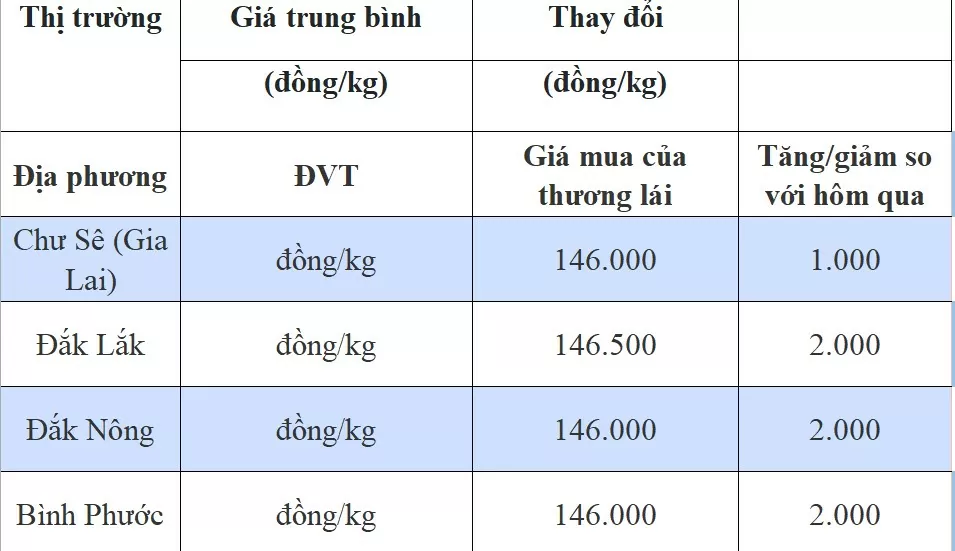 Giá tiêu hôm nay 3/8/2024: Tiếp đà giảm mạnh, Đắk Lắk chạm đỉnh 146.500 đồng/kg