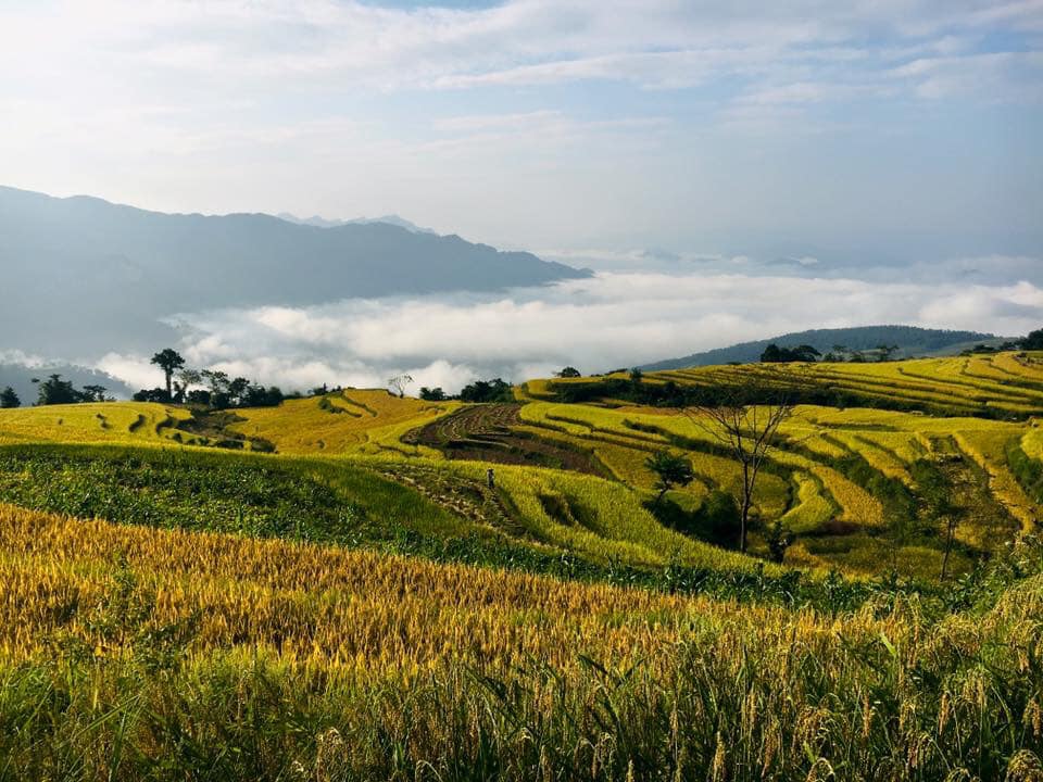 Tháng 8, thời điểm tuyệt vời nhất để đến Tuyên Quang: Rước đèn tại lễ hội Trung thu lớn nhất cả nước, check-in ngọn thác 15 tầng đẹp tựa tiên cảnh- Ảnh 27.