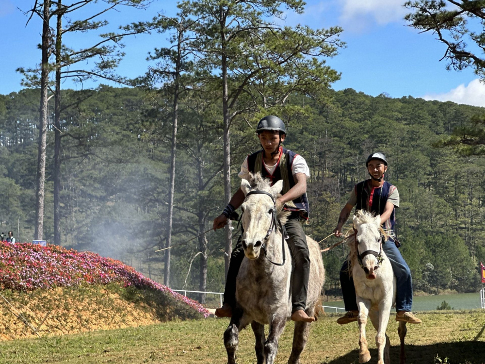 se co giai dua ngua tai festival hoa da lat hinh 1