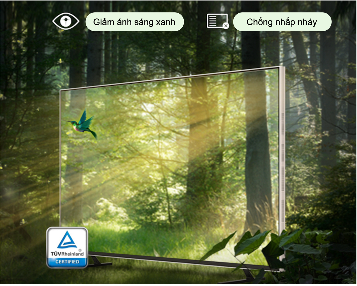 TV khung tranh coocaa – liệu có đáng mua so với các dòng cùng phân khúc?- Ảnh 4. TV khung tranh coocaa – liệu có đáng mua so với các dòng cùng phân khúc?- Ảnh 4.