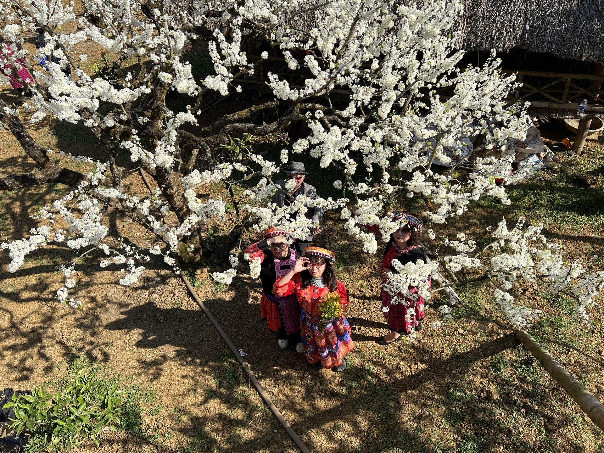 ve dep hut hon cua moc chau mua xuan hinh 7